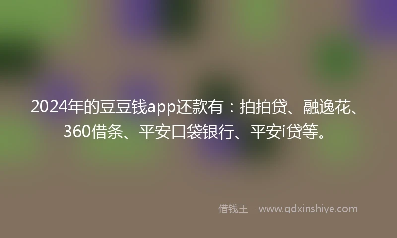 2024年的豆豆钱app还款有：拍拍贷、融逸花、360借条、平安口袋银行、平安i贷等。