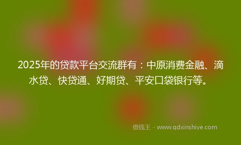 2025年的贷款平台交流群有：中原消费金融、滴水贷、快贷通、好期贷、平安口袋银行等。
