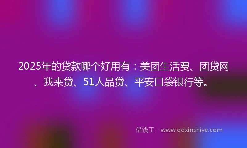 2025年的贷款哪个好用有：美团生活费、团贷网、我来贷、51人品贷、平安口袋银行等。