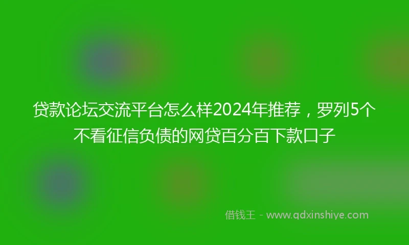 贷款论坛交流平台怎么样2024年推荐，罗列5个不看征信负债的网贷百分百下款口子