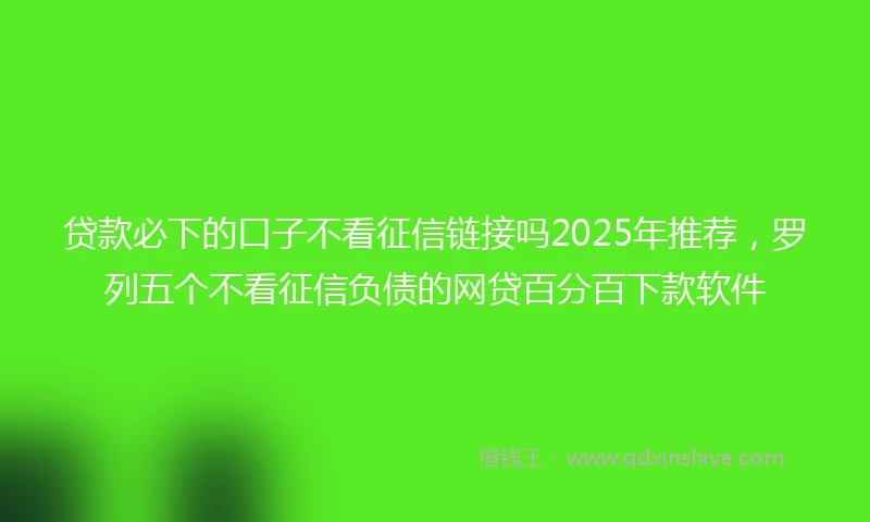 贷款必下的口子不看征信链接吗2025年推荐，罗列五个不看征信负债的网贷百分百下款软件