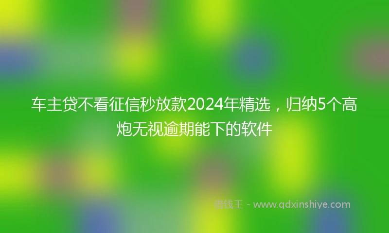 车主贷不看征信秒放款2024年精选，归纳5个高炮无视逾期能下的软件