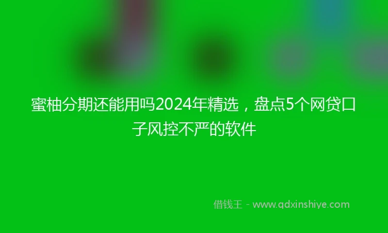 蜜柚分期还能用吗2024年精选，盘点5个网贷口子风控不严的软件