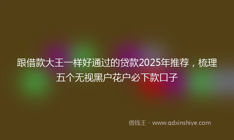 跟借款大王一样好通过的贷款2025年推荐，梳理五个无视黑户花户必下款口子