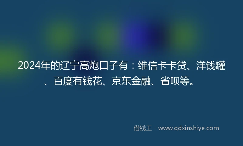 2024年的辽宁高炮口子有：维信卡卡贷、洋钱罐、百度有钱花、京东金融、省呗等。