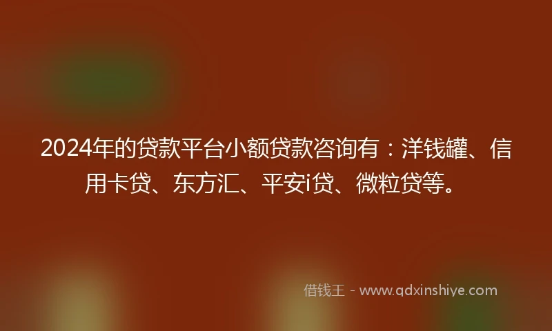2024年的贷款平台小额贷款咨询有：洋钱罐、信用卡贷、东方汇、平安i贷、微粒贷等。