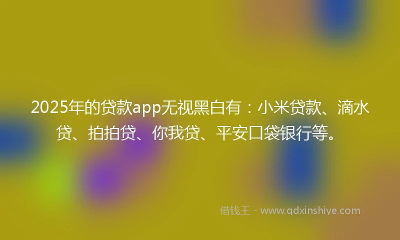 2025年的贷款app无视黑白有：小米贷款、滴水贷、拍拍贷、你我贷、平安口袋银行等。