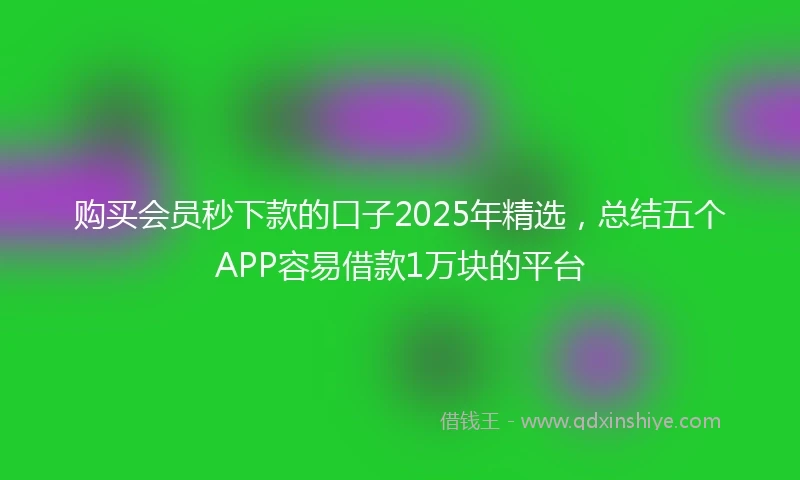 购买会员秒下款的口子2025年精选，总结五个APP容易借款1万块的平台
