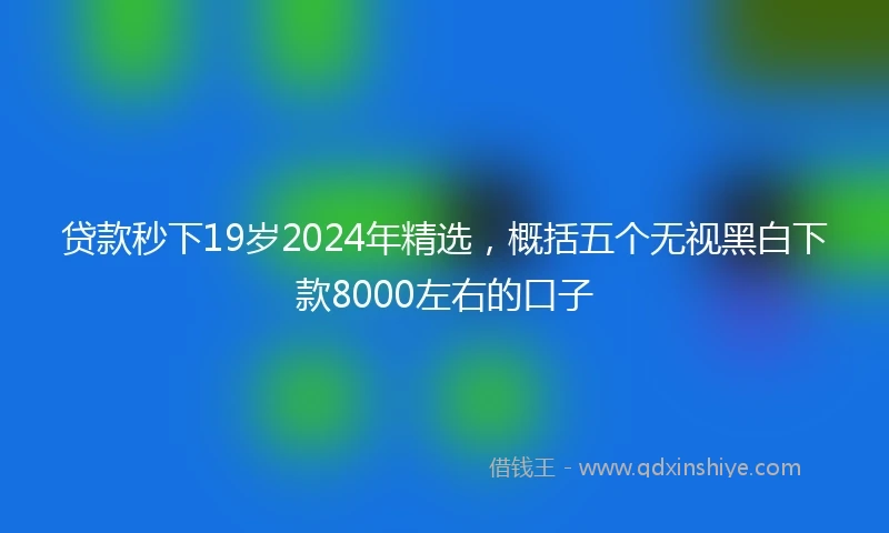 贷款秒下19岁2024年精选，概括五个无视黑白下款8000左右的口子