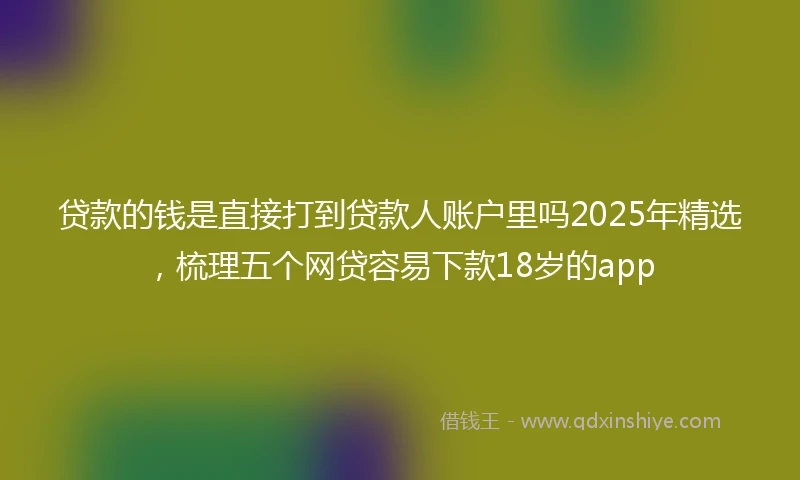 贷款的钱是直接打到贷款人账户里吗2025年精选，梳理五个网贷容易下款18岁的app