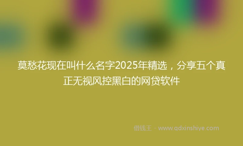 莫愁花现在叫什么名字2025年精选，分享五个真正无视风控黑白的网贷软件
