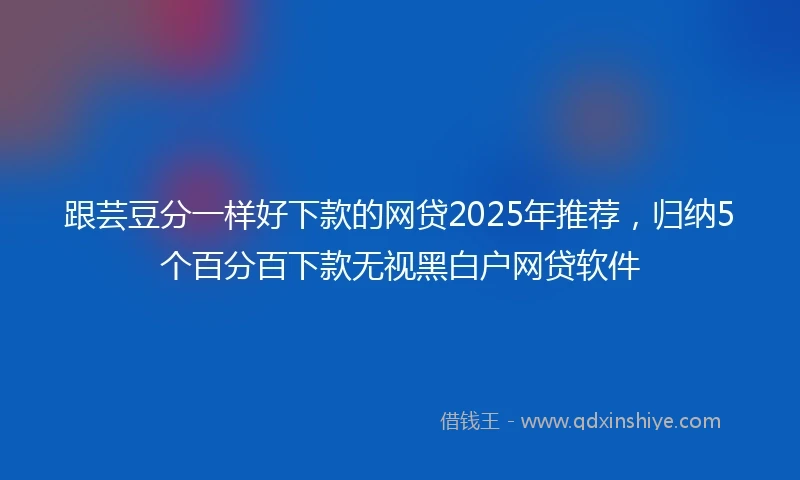 跟芸豆分一样好下款的网贷2025年推荐，归纳5个百分百下款无视黑白户网贷软件