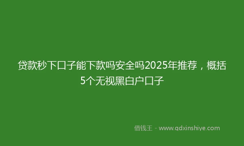 贷款秒下口子能下款吗安全吗2025年推荐，概括5个无视黑白户口子