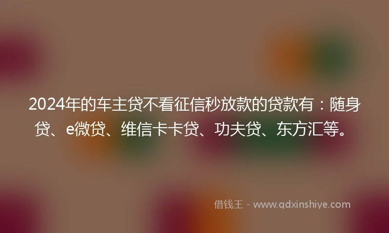 2024年的车主贷不看征信秒放款的贷款有：随身贷、e微贷、维信卡卡贷、功夫贷、东方汇等。