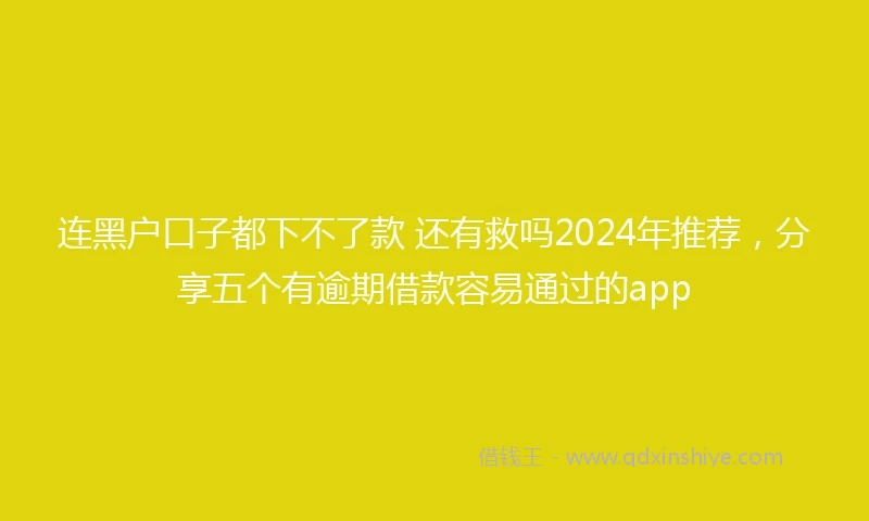 连黑户口子都下不了款 还有救吗2024年推荐，分享五个有逾期借款容易通过的app