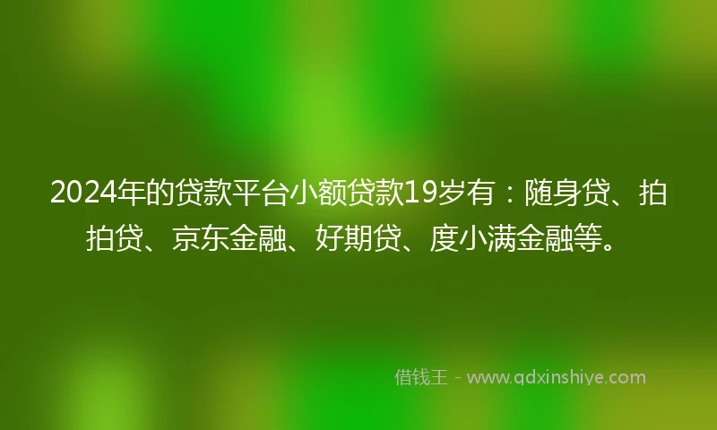 2024年的贷款平台小额贷款19岁有：随身贷、拍拍贷、京东金融、好期贷、度小满金融等。