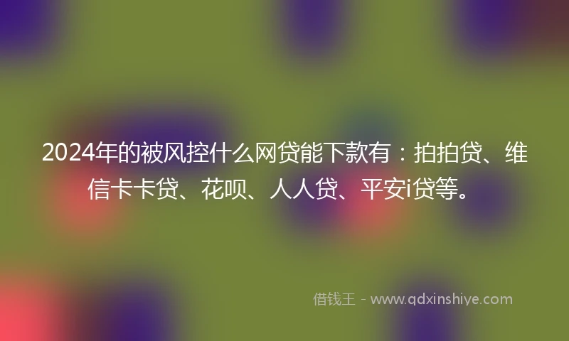 2024年的被风控什么网贷能下款有：拍拍贷、维信卡卡贷、花呗、人人贷、平安i贷等。
