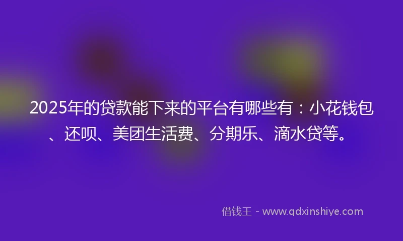 2025年的贷款能下来的平台有哪些有：小花钱包、还呗、美团生活费、分期乐、滴水贷等。