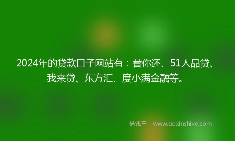 2024年的贷款口子网站有：替你还、51人品贷、我来贷、东方汇、度小满金融等。