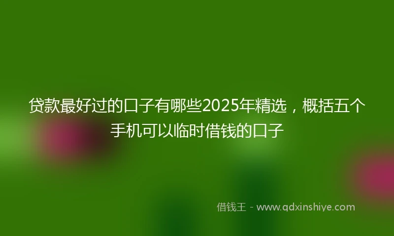 贷款最好过的口子有哪些2025年精选，概括五个手机可以临时借钱的口子