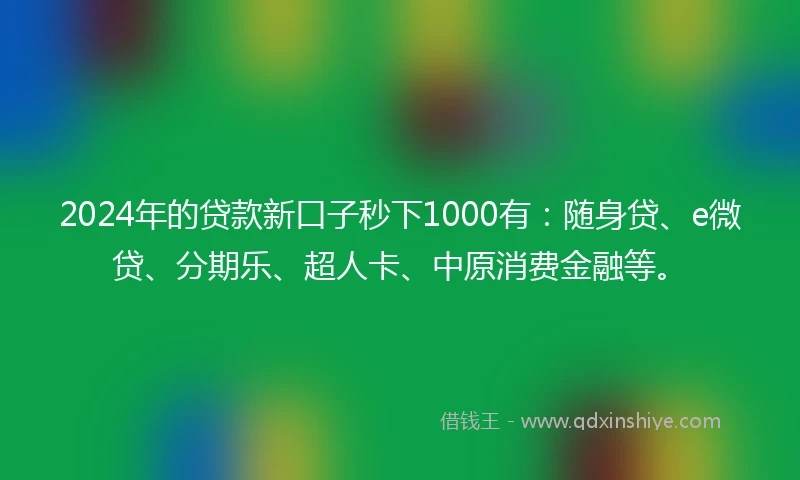 2024年的贷款新口子秒下1000有：随身贷、e微贷、分期乐、超人卡、中原消费金融等。