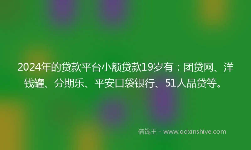 2024年的贷款平台小额贷款19岁有：团贷网、洋钱罐、分期乐、平安口袋银行、51人品贷等。