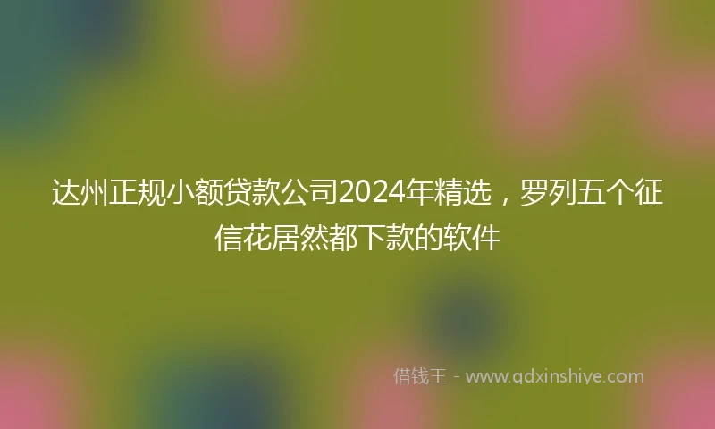达州正规小额贷款公司2024年精选，罗列五个征信花居然都下款的软件