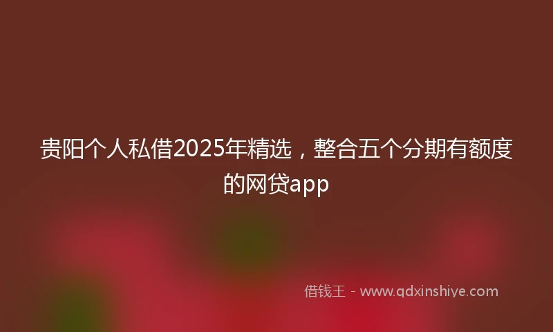 贵阳个人私借2025年精选，整合五个分期有额度的网贷app