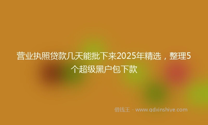 营业执照贷款几天能批下来2025年精选，整理5个超级黑户包下款