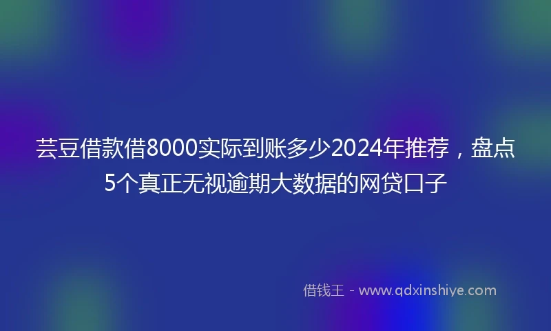 芸豆借款借8000实际到账多少2024年推荐，盘点5个真正无视逾期大数据的网贷口子
