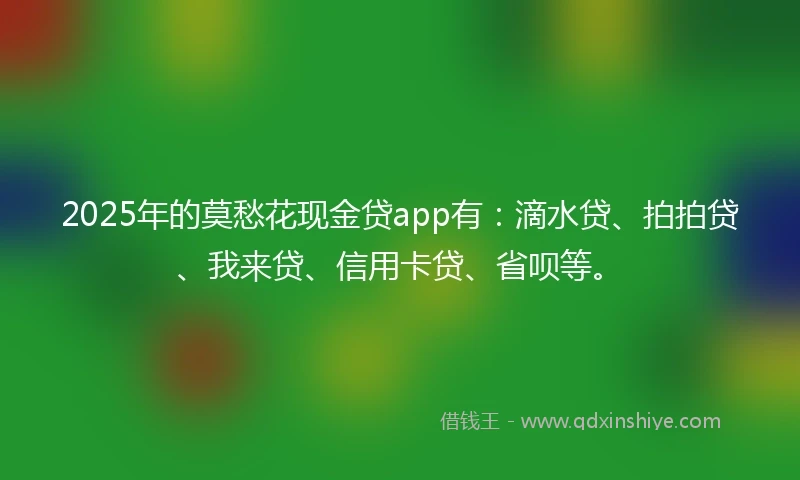 2025年的莫愁花现金贷app有：滴水贷、拍拍贷、我来贷、信用卡贷、省呗等。
