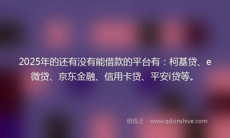 2025年的还有没有能借款的平台有：柯基贷、e微贷、京东金融、信用卡贷、平安i贷等。