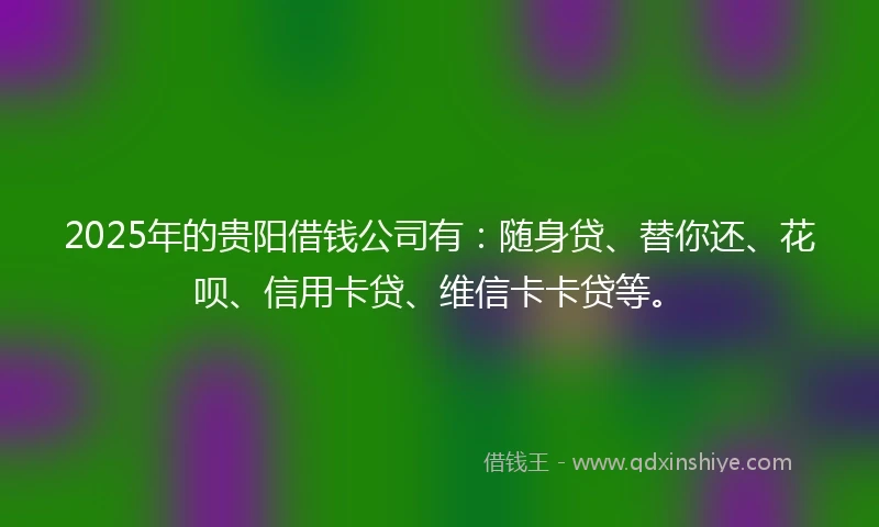2025年的贵阳借钱公司有：随身贷、替你还、花呗、信用卡贷、维信卡卡贷等。