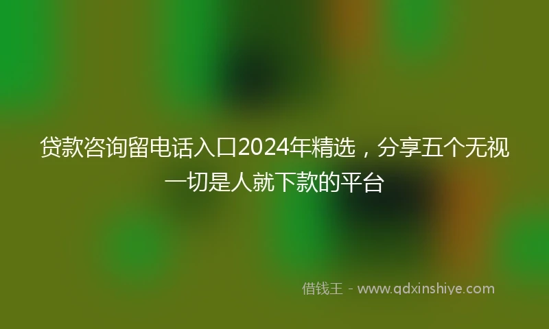 贷款咨询留电话入口2024年精选,分享五个无视一切是人就下款的平台