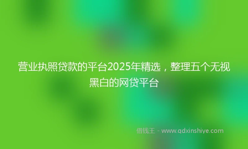 营业执照贷款的平台2025年精选，整理五个无视黑白的网贷平台