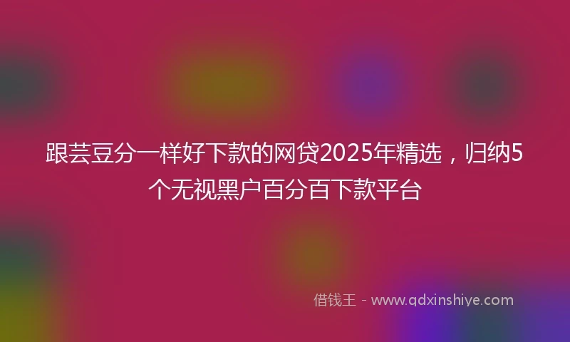 跟芸豆分一样好下款的网贷2025年精选，归纳5个无视黑户百分百下款平台