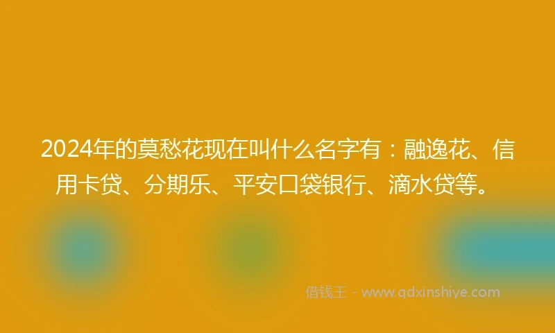 2024年的莫愁花现在叫什么名字有：融逸花、信用卡贷、分期乐、平安口袋银行、滴水贷等。