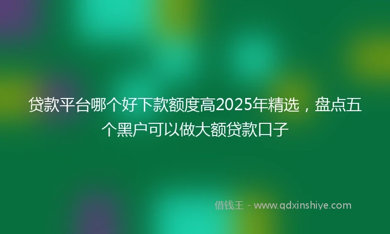 贷款平台哪个好下款额度高2025年精选，盘点五个黑户可以做大额贷款口子