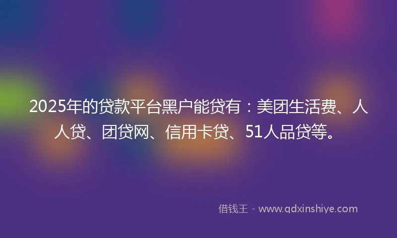 2025年的贷款平台黑户能贷有:美团生活费、人人贷、团贷网、信用卡贷、51人品贷等。