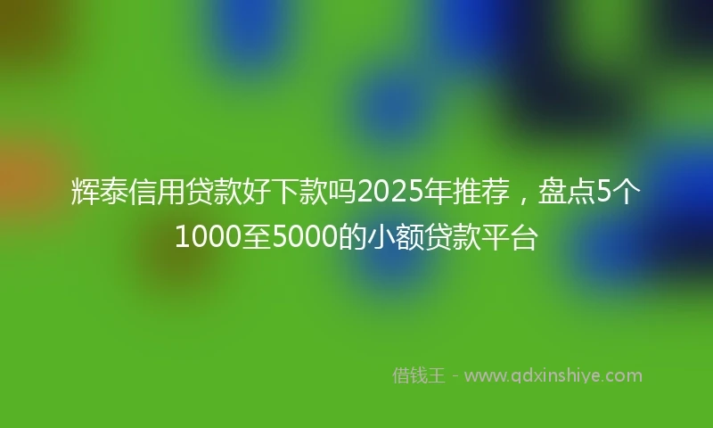 辉泰信用贷款好下款吗2025年推荐，盘点5个1000至5000的小额贷款平台