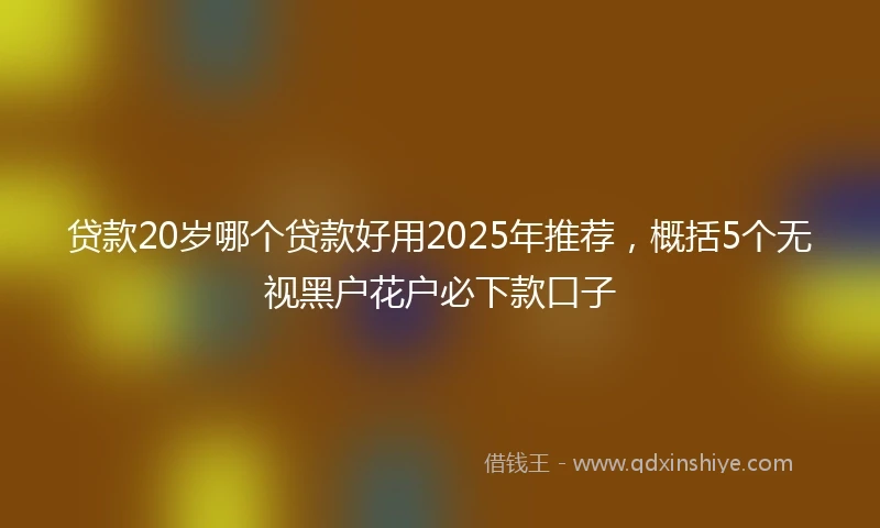 贷款20岁哪个贷款好用2025年推荐，概括5个无视黑户花户必下款口子