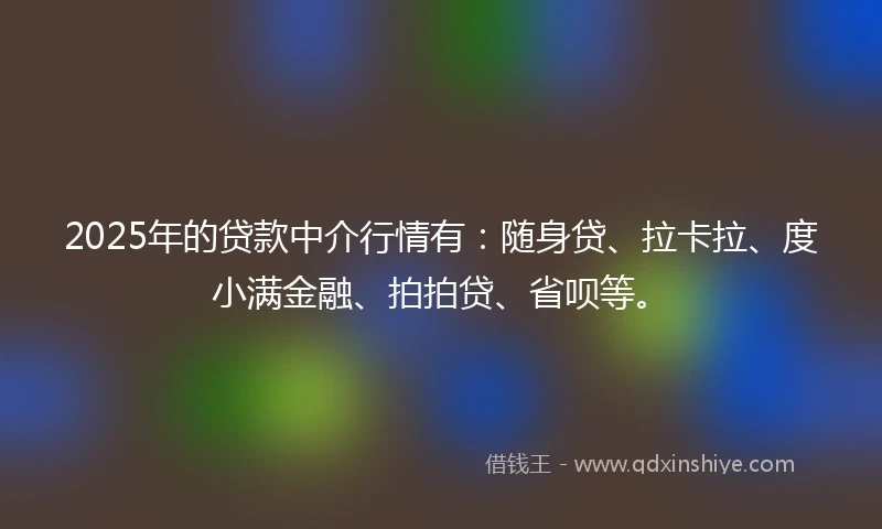 2025年的贷款中介行情有：随身贷、拉卡拉、度小满金融、拍拍贷、省呗等。