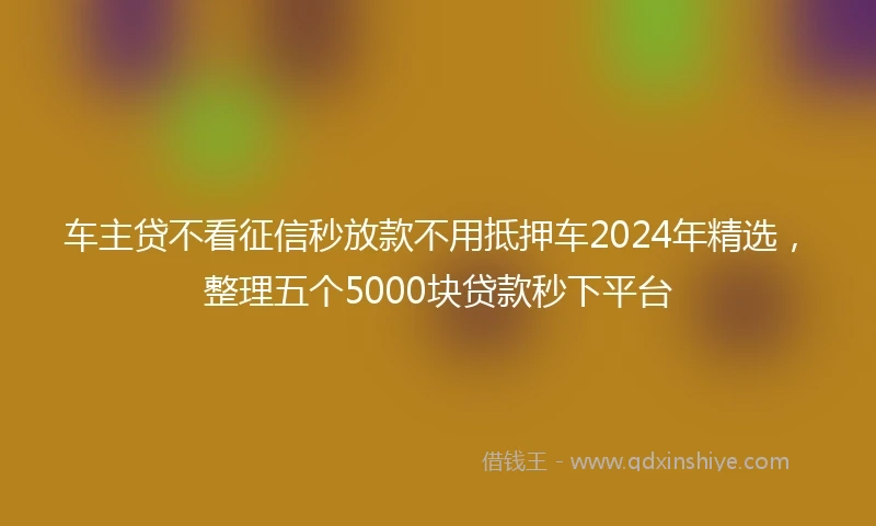 车主贷不看征信秒放款不用抵押车2024年精选，整理五个5000块贷款秒下平台