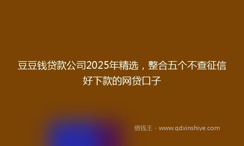 豆豆钱贷款公司2025年精选，整合五个不查征信好下款的网贷口子