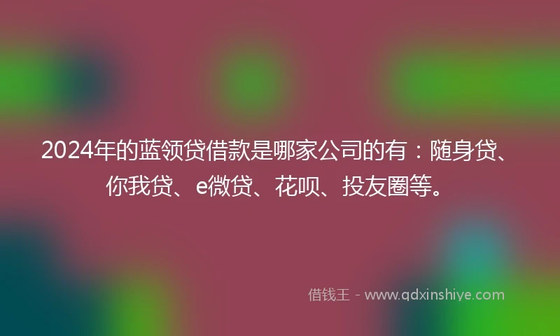 2024年的蓝领贷借款是哪家公司的有：随身贷、你我贷、e微贷、花呗、投友圈等。