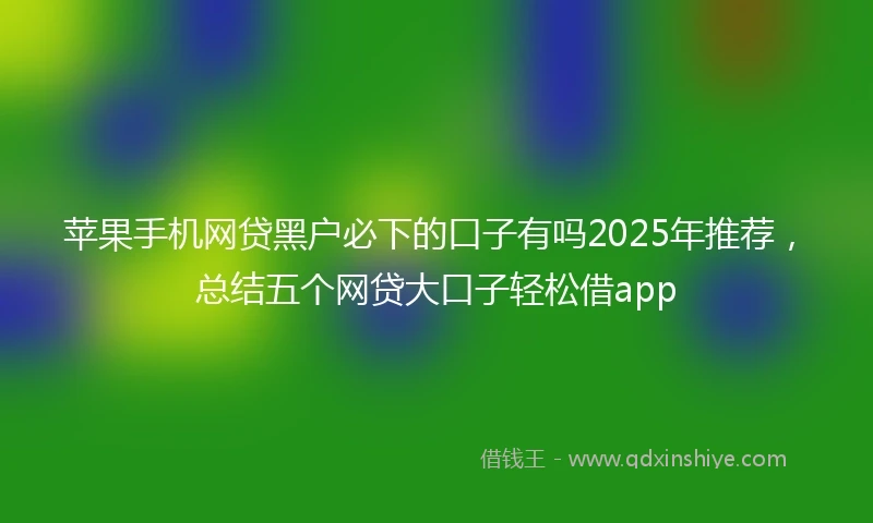 苹果手机网贷黑户必下的口子有吗2025年推荐，总结五个网贷大口子轻松借app