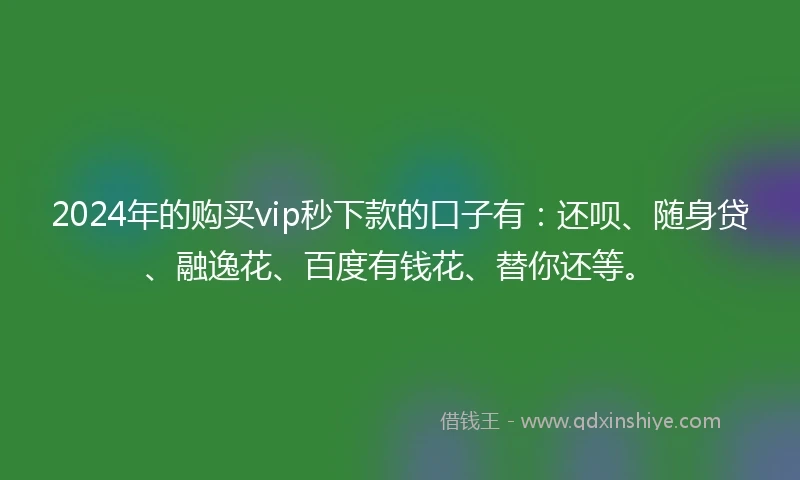 2024年的购买vip秒下款的口子有：还呗、随身贷、融逸花、百度有钱花、替你还等。