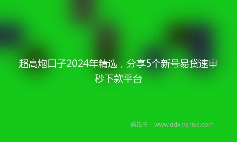 超高炮口子2024年精选，分享5个新号易贷速审秒下款平台