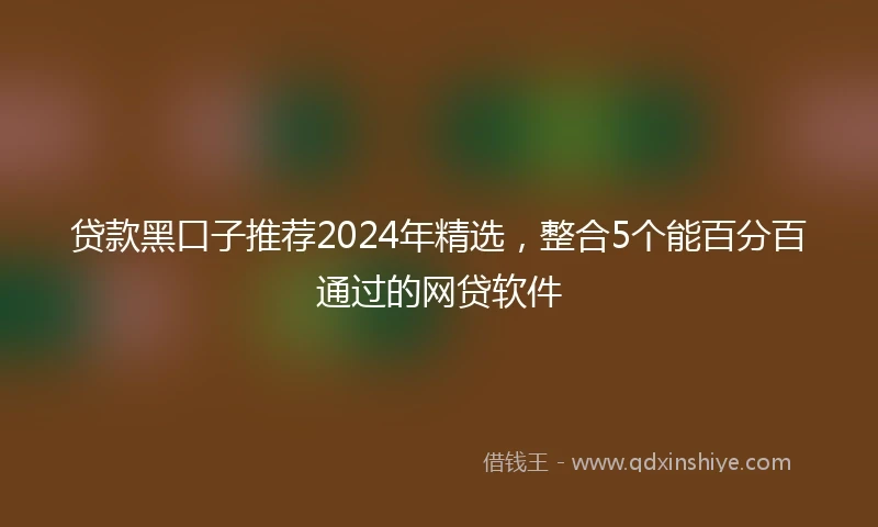 贷款黑口子推荐2024年精选，整合5个能百分百通过的网贷软件