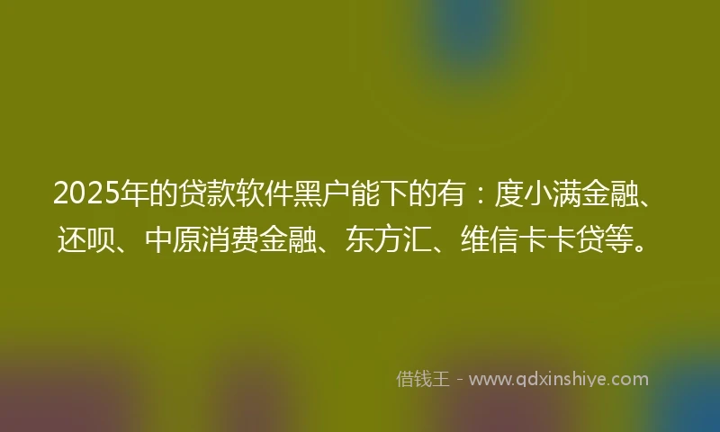 2025年的贷款软件黑户能下的有：度小满金融、还呗、中原消费金融、东方汇、维信卡卡贷等。